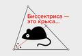 «Биссектриса это крыса…» 10 фраз-подсказок, которые облегчат жизнь каждого школьника